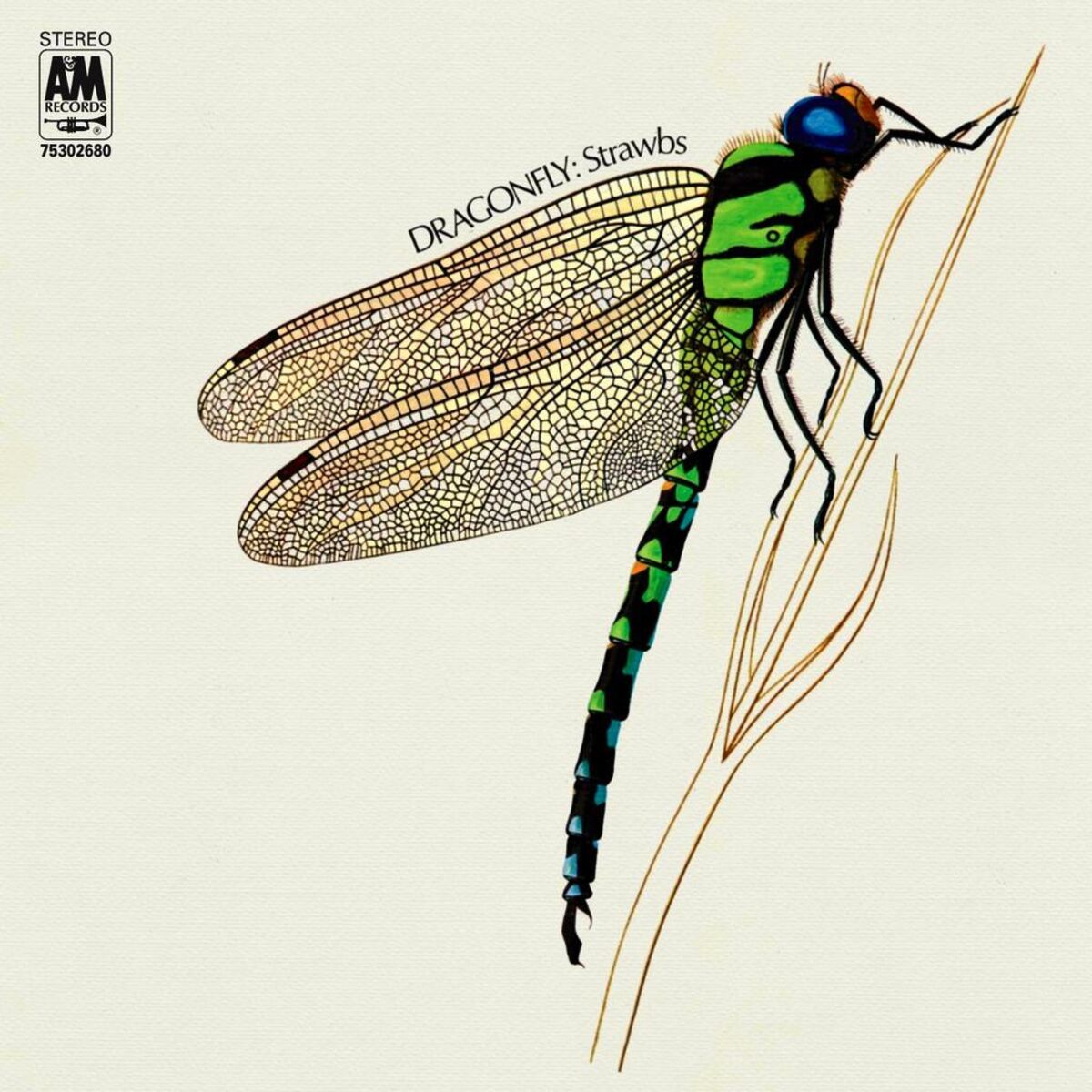 Album cover of Dragonfly