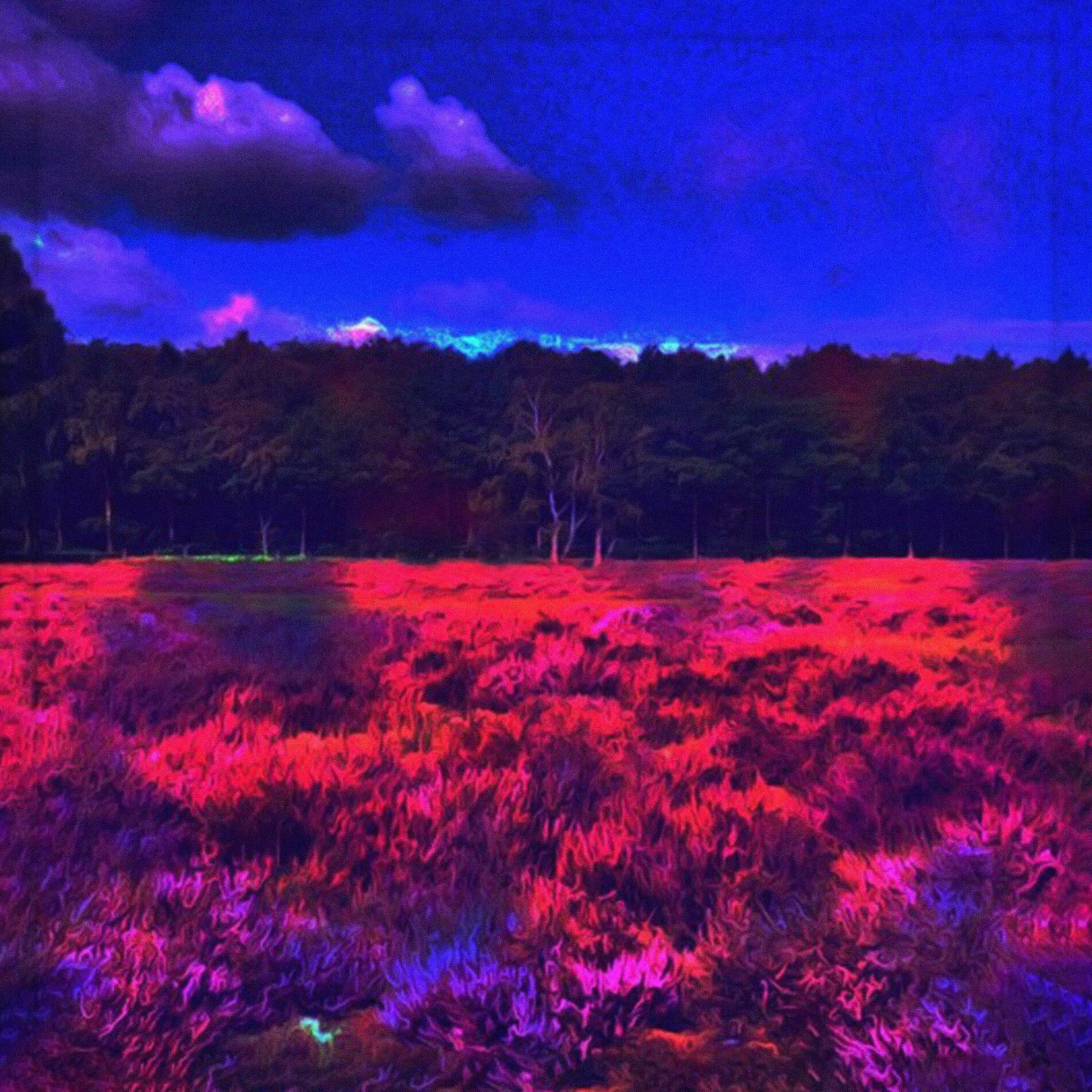 Album cover of M.U.S.H
