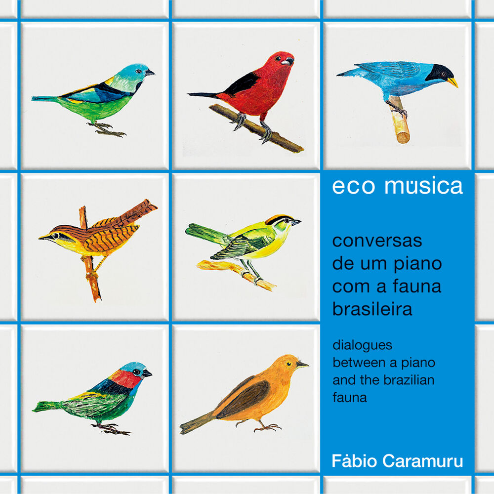 Picture of Ecomúsica