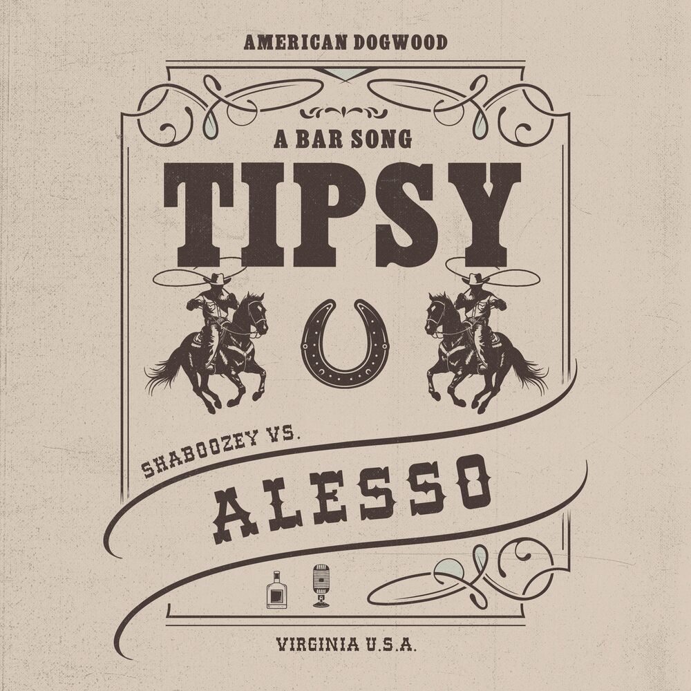 Picture of A Bar Song (Tipsy) [Remix]