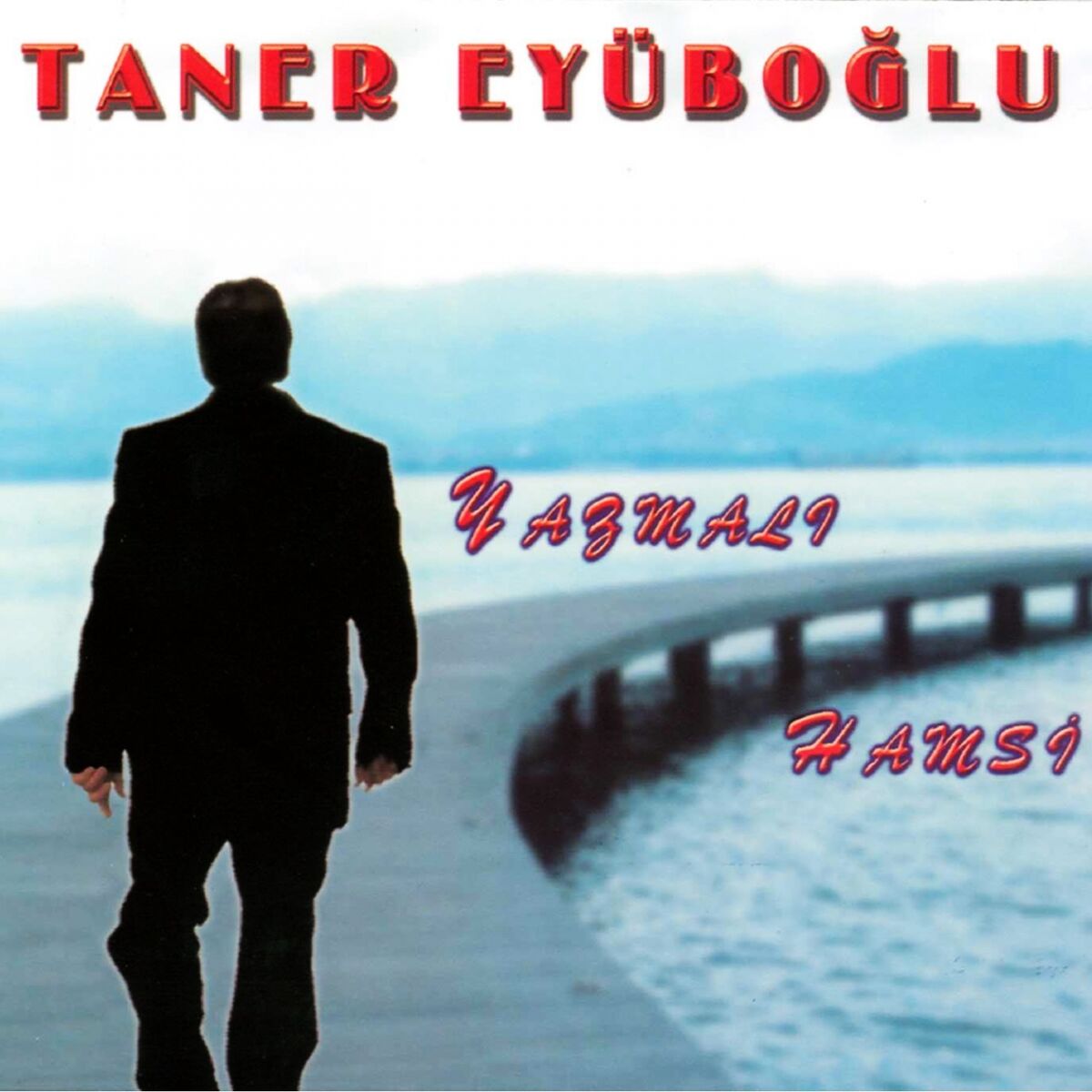 Album cover of Hamsi