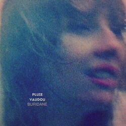 Cover of Pluie vaudou