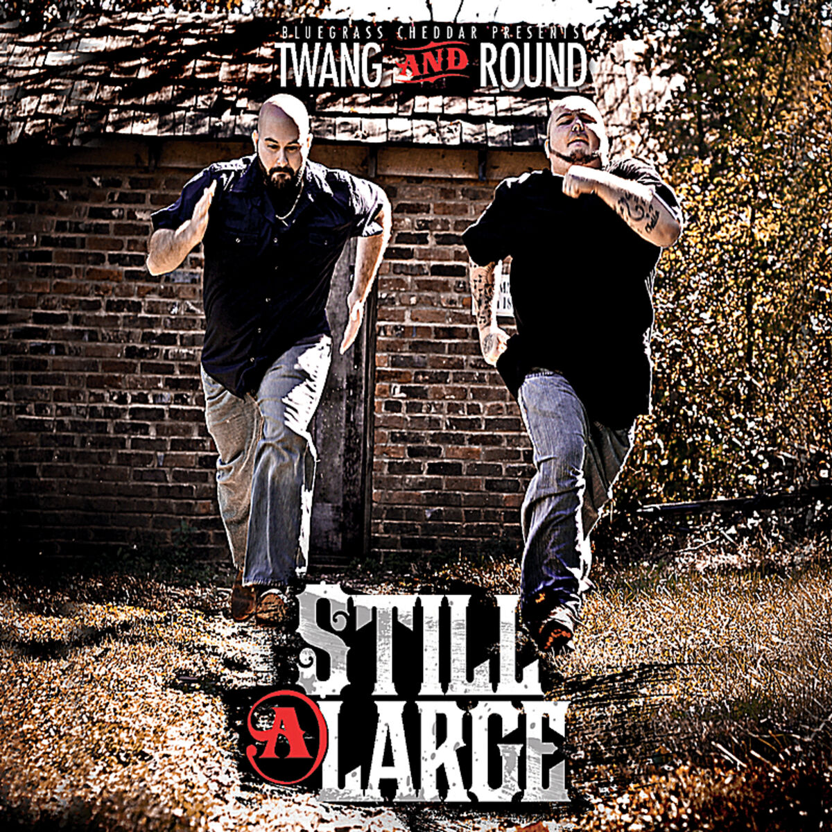 Album cover of Still At Large