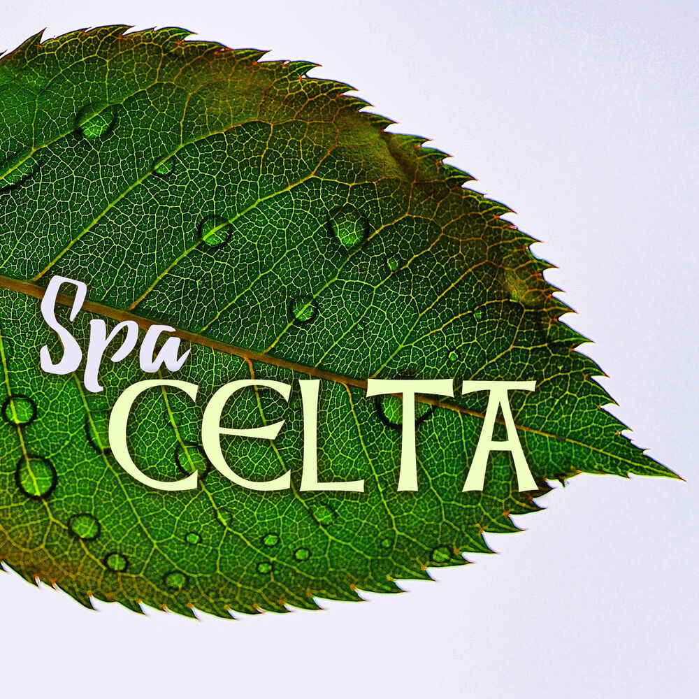 Picture of Spa Celta - Música de Spa con Arpa Celta Irlandesa, Canciones Relajantes para Centros de Bienestar