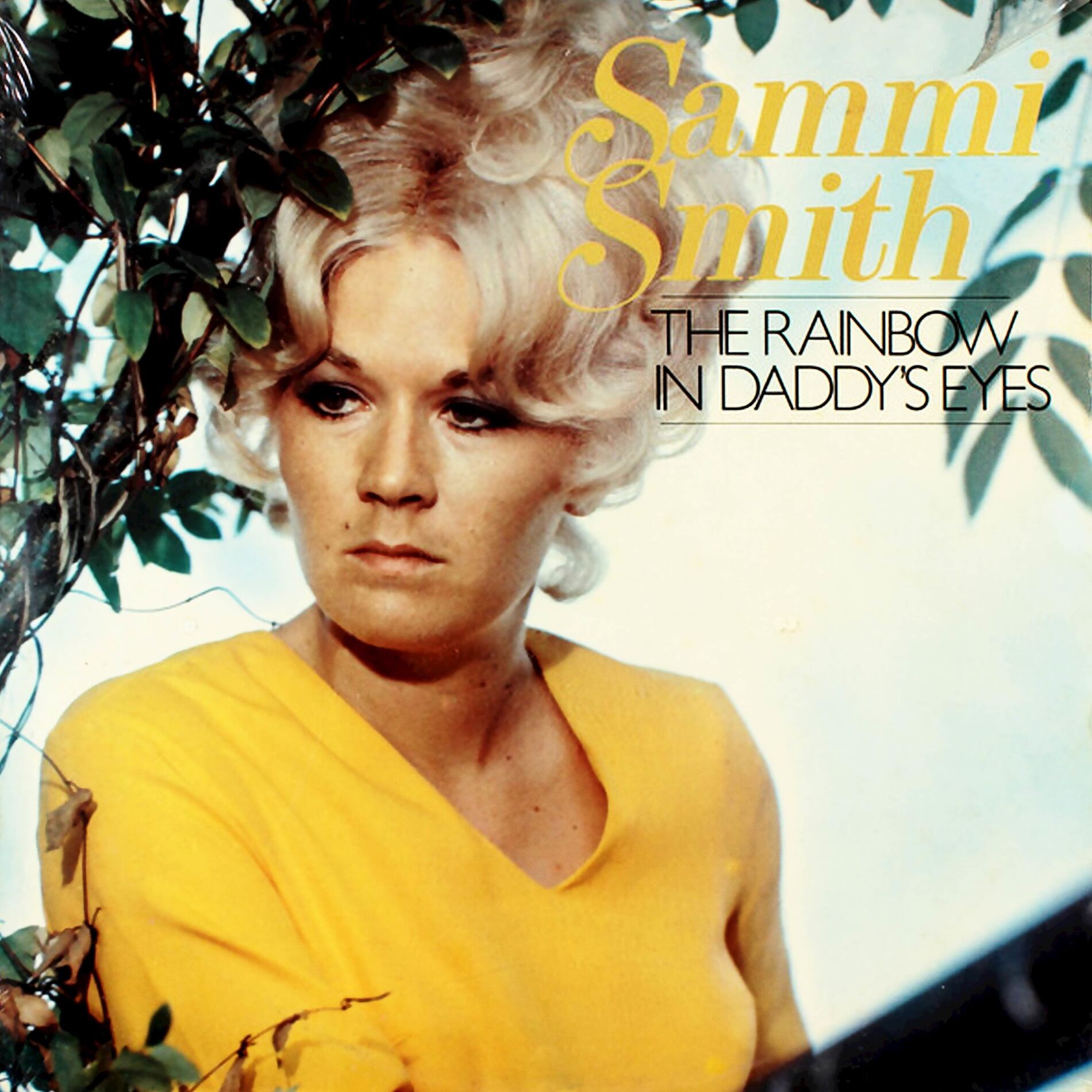 Album cover of The Rainbow in Daddy's Eyes