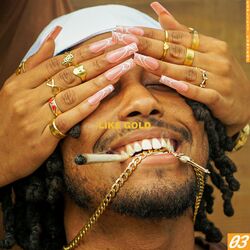 Cover of like gold