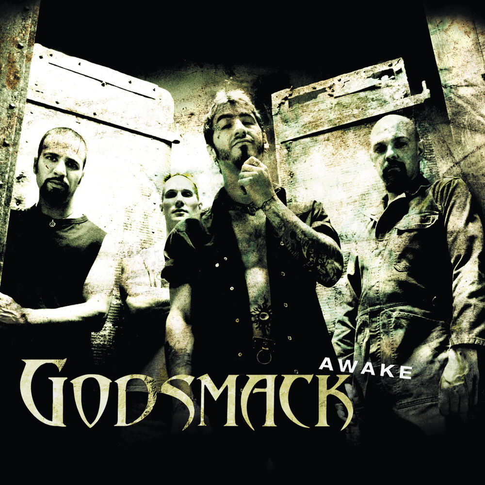 Picture of Awake