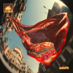 Cover of Chopi