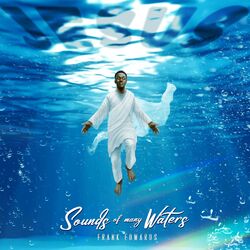 Cover of Sounds Of Many Waters
