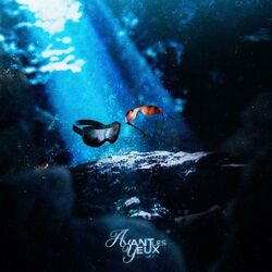 Cover of AVANT LES YEUX