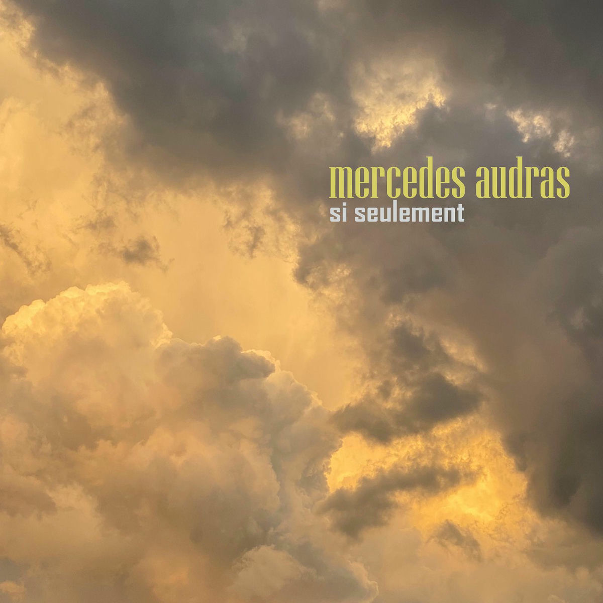 Album cover of Si Seulement