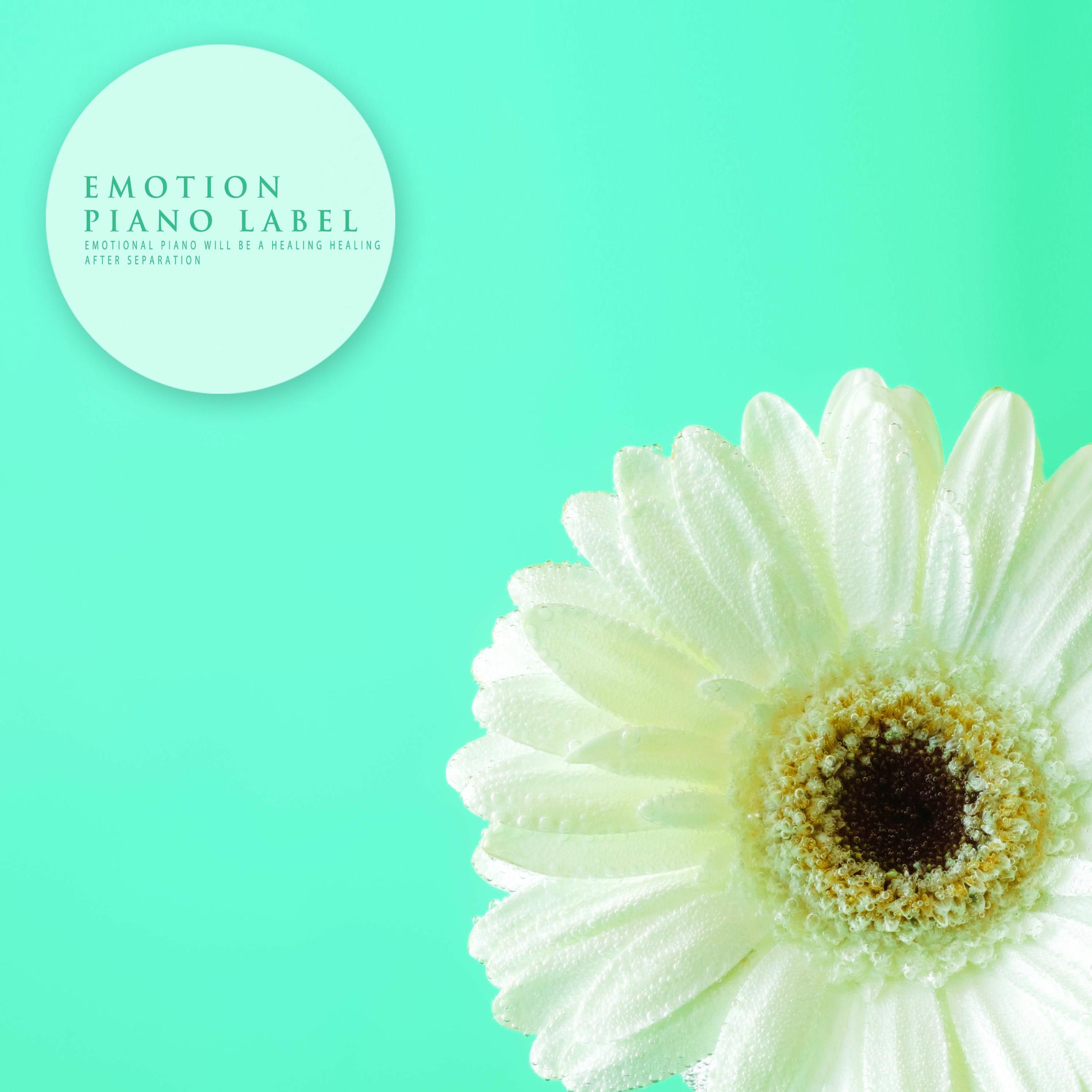 Album cover of Emotional Piano Will Be A Healing Healing After Separation