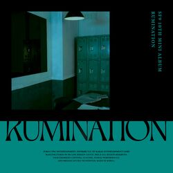 Cover of RUMINATION