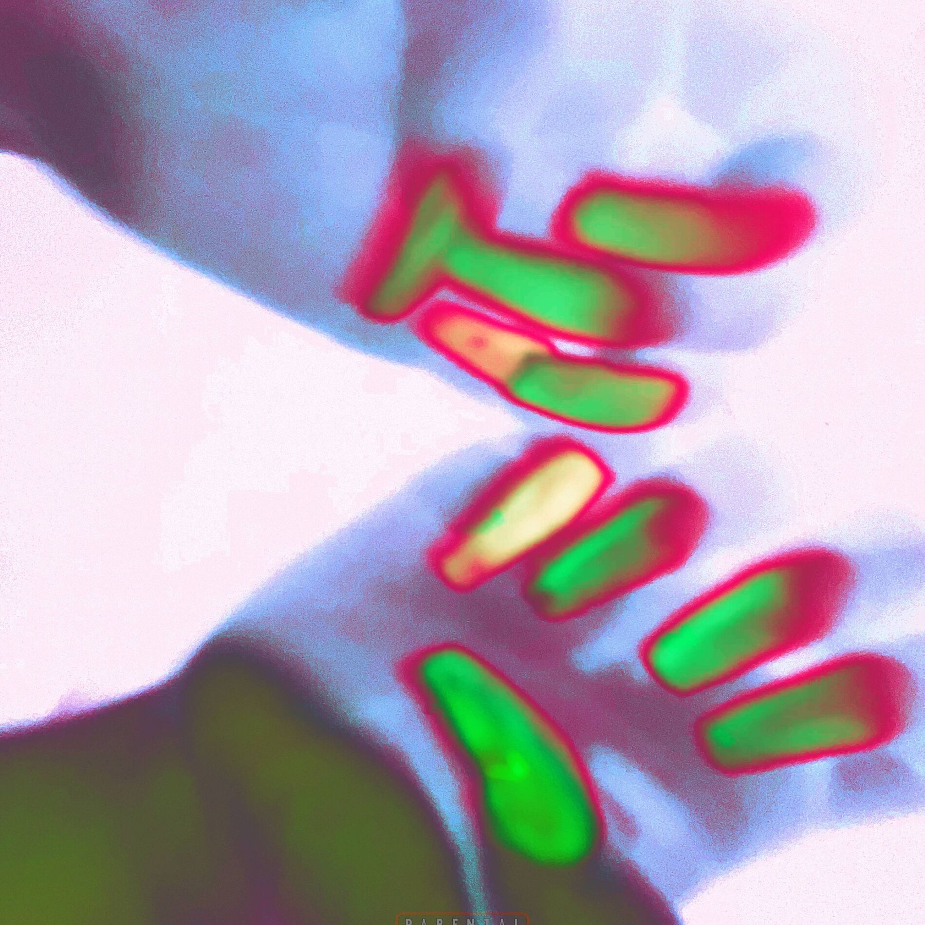 Album cover of WARM ME UP