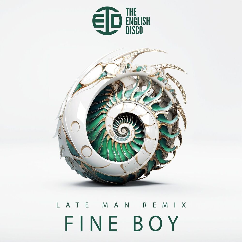Picture of Fine Boy (Late Man Remix)