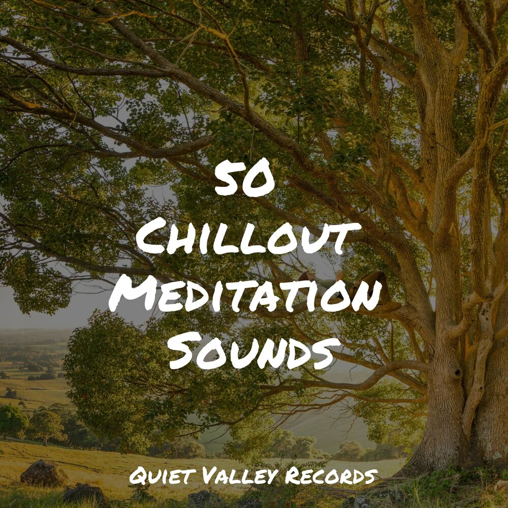 Picture of 50 Chillout Meditation Sounds