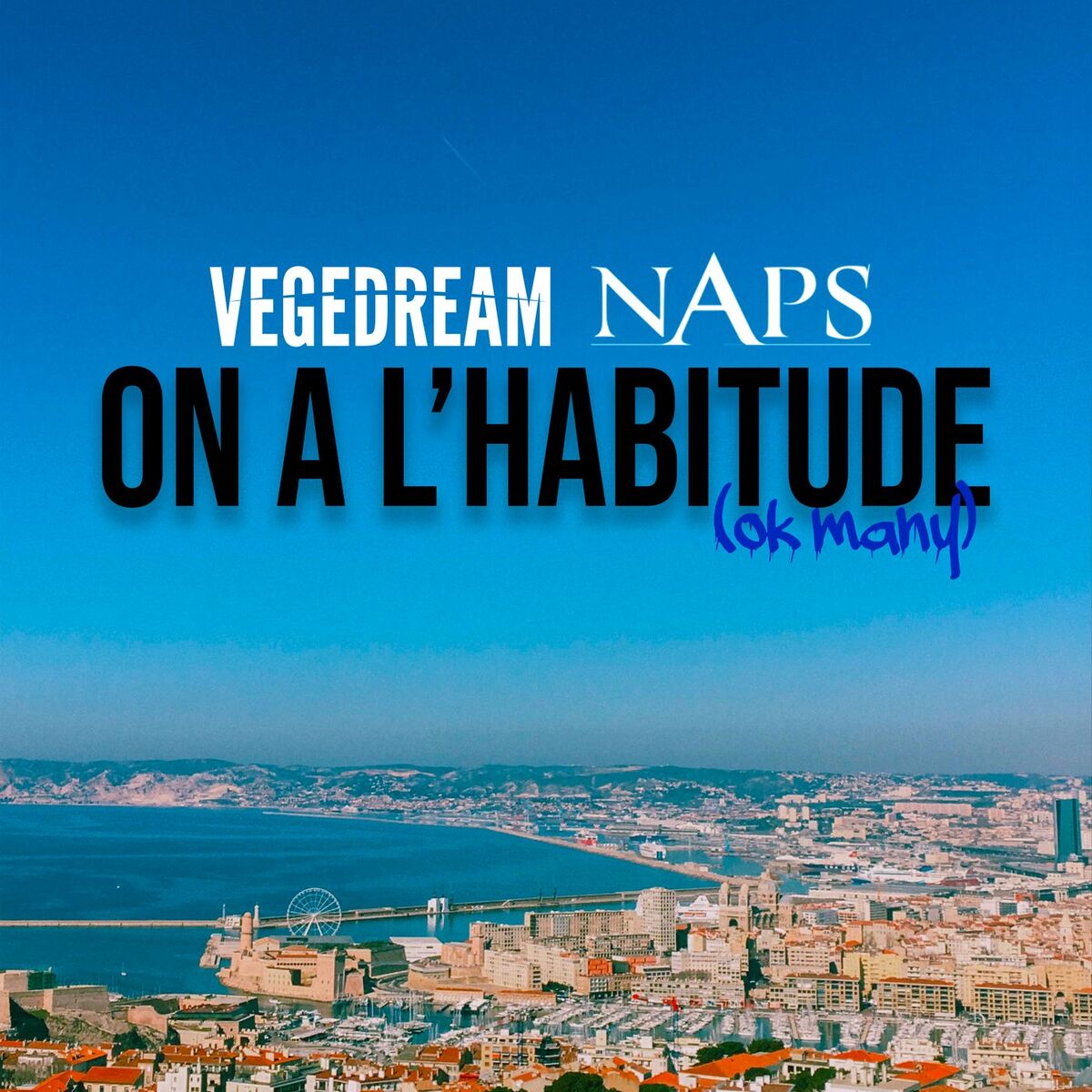 Album picture of On a l'habitude (Ok Many)