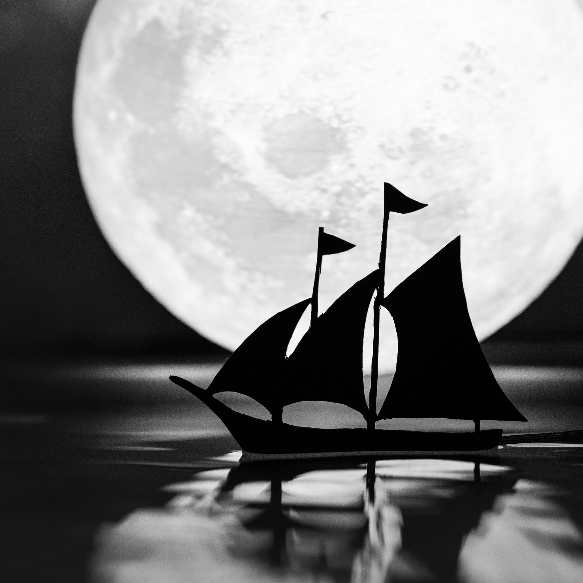 Album cover of Sail With the Moon