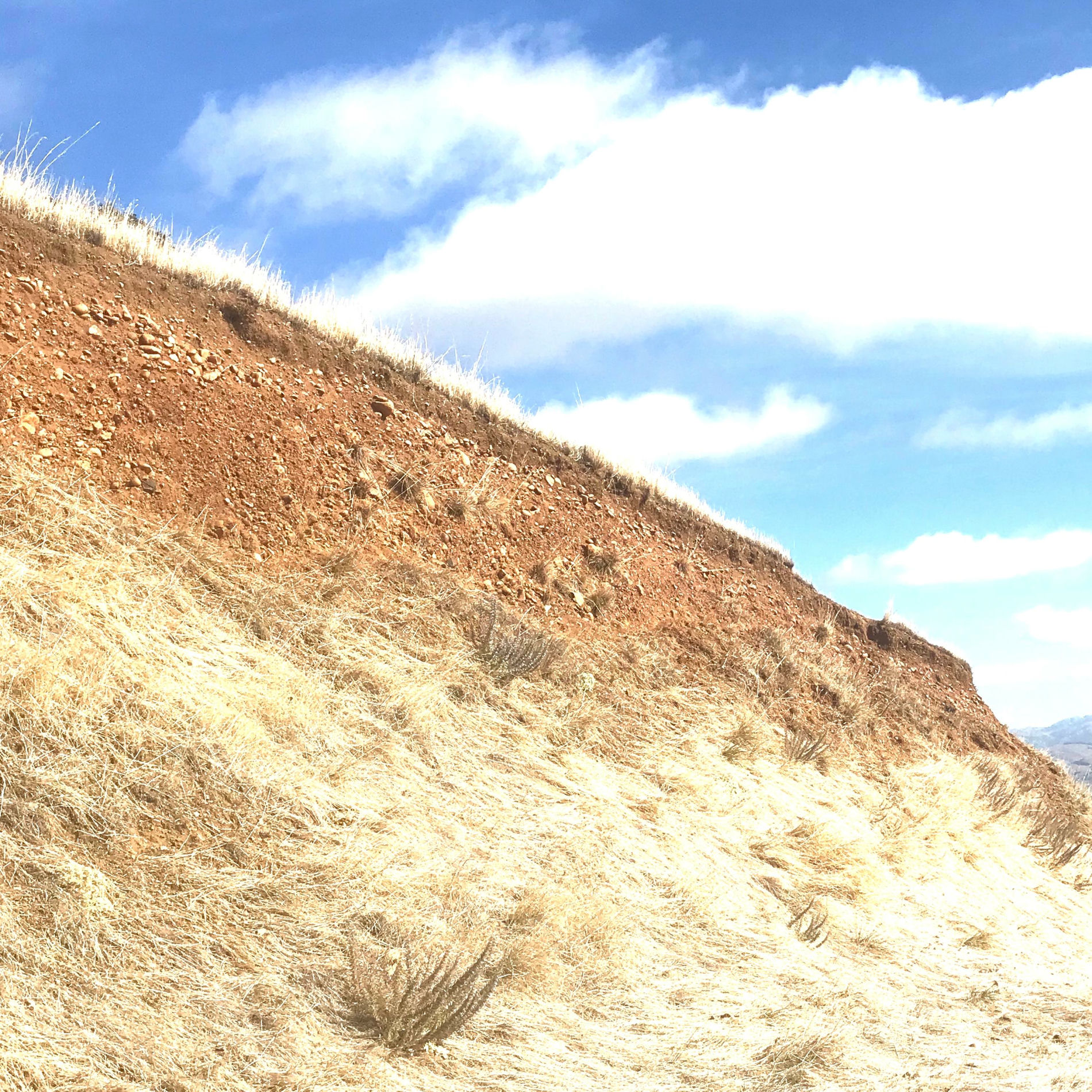 Album cover of Snow White