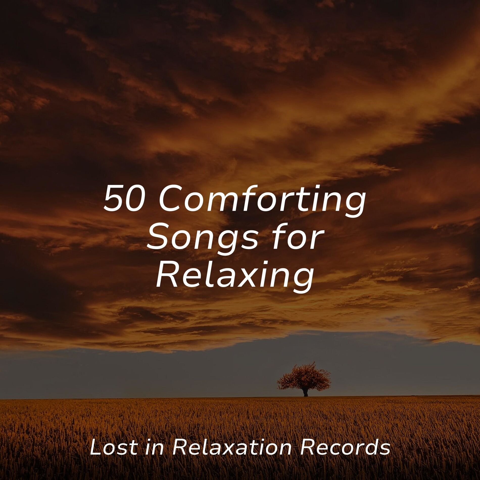 Album cover of 50 Comforting Songs for Relaxing