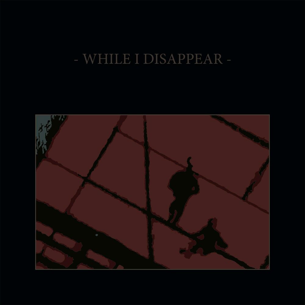 Picture of While I Disappear