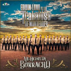 Cover of Me Hiciste un Borracho
