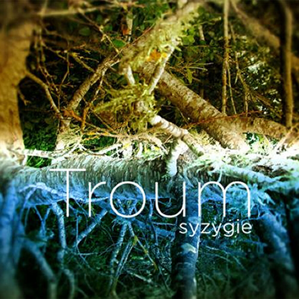 Picture of Syzygie