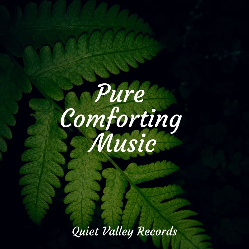 Picture of Pure Comforting Music