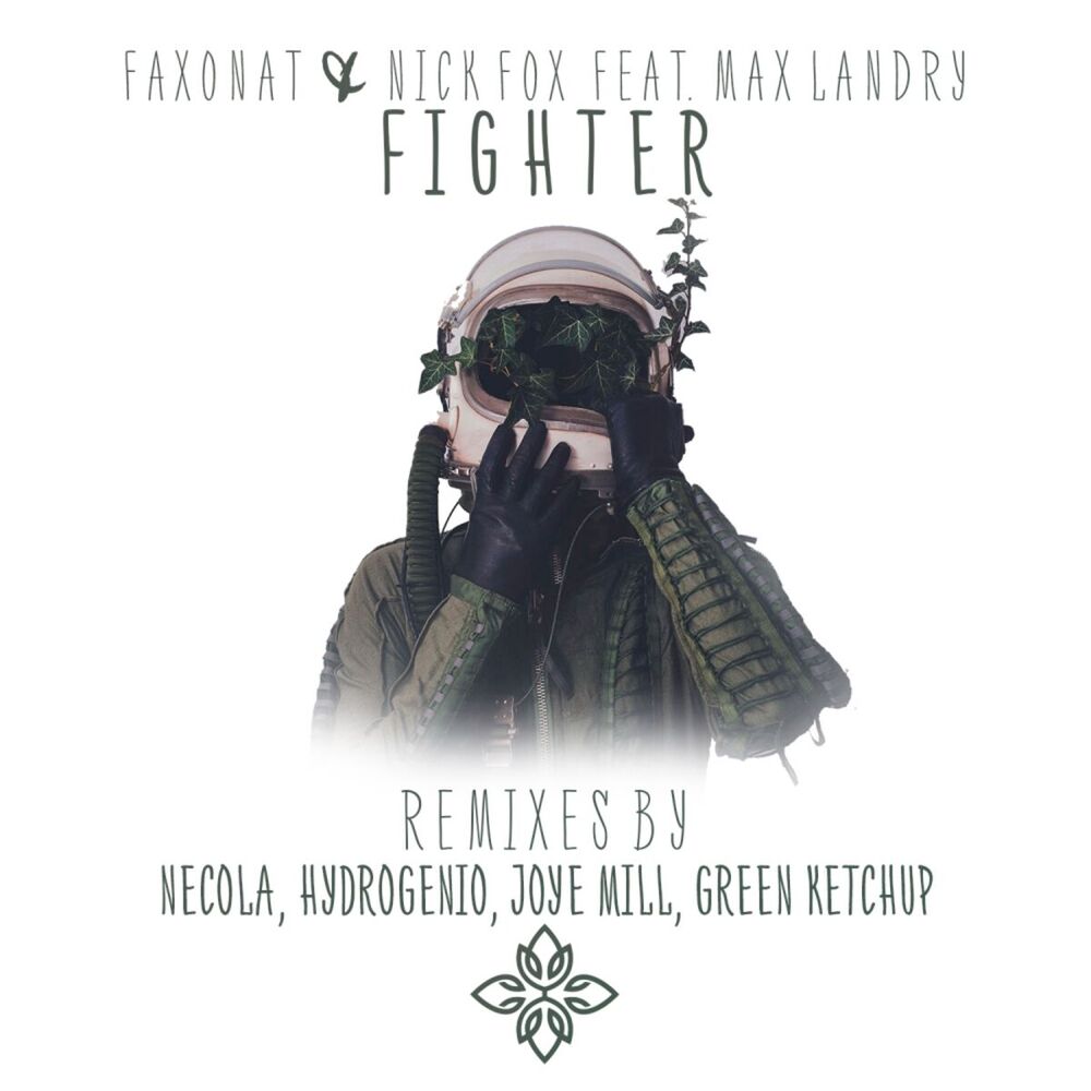 Picture of Fighter (Remixes)