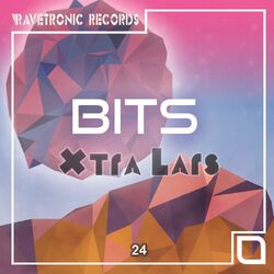 Cover of Bits