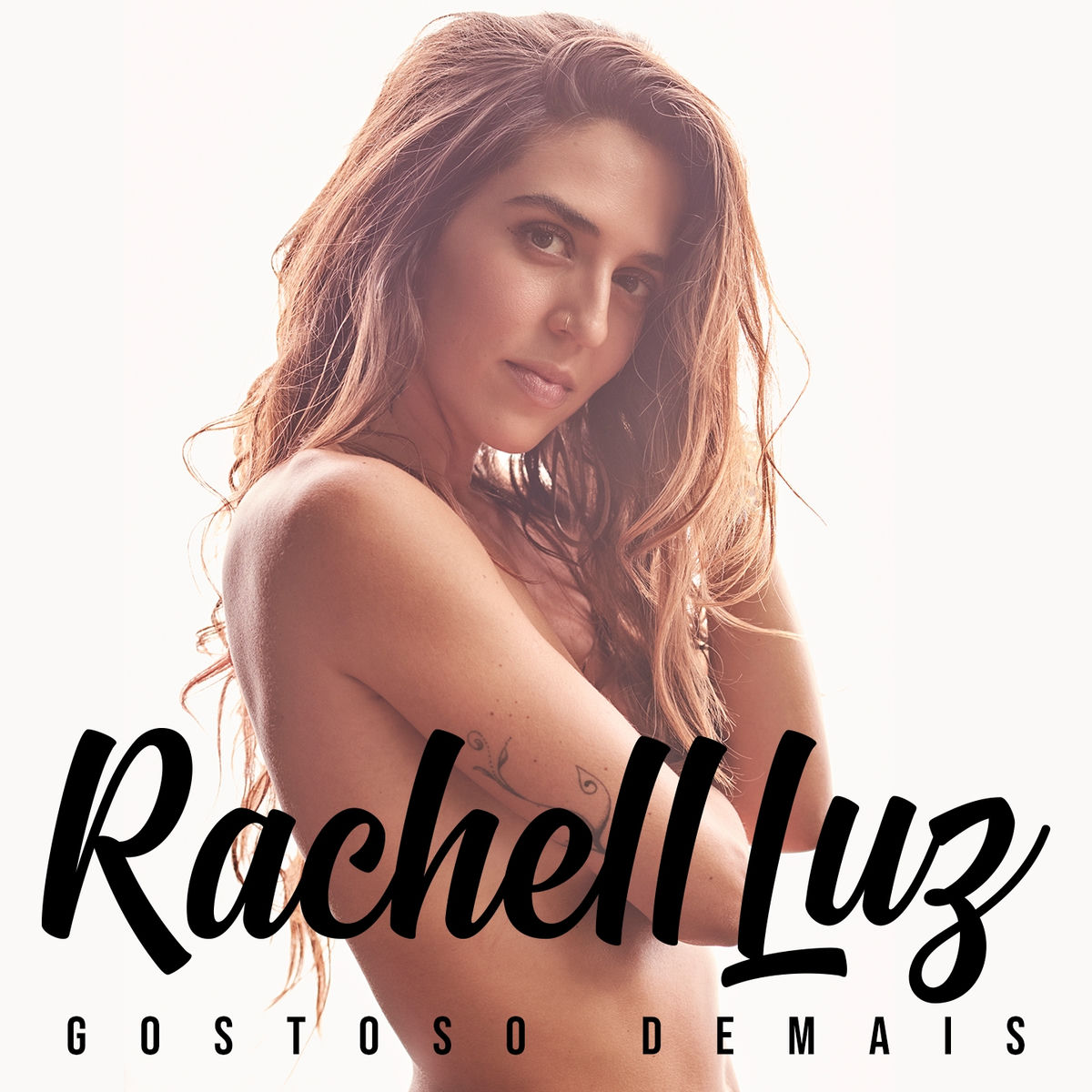 Album cover of Gostoso Demais