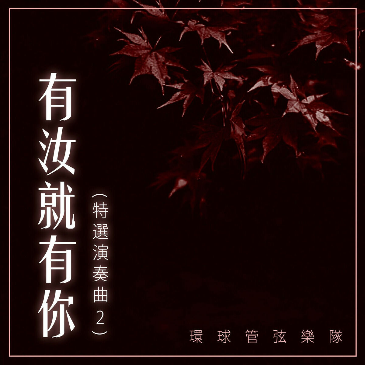Album cover of 有汝就有你（特選演奏曲2）