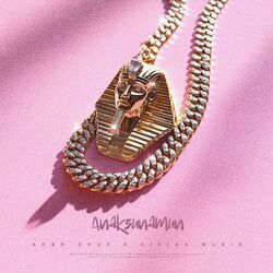 Cover of Anaksunamun