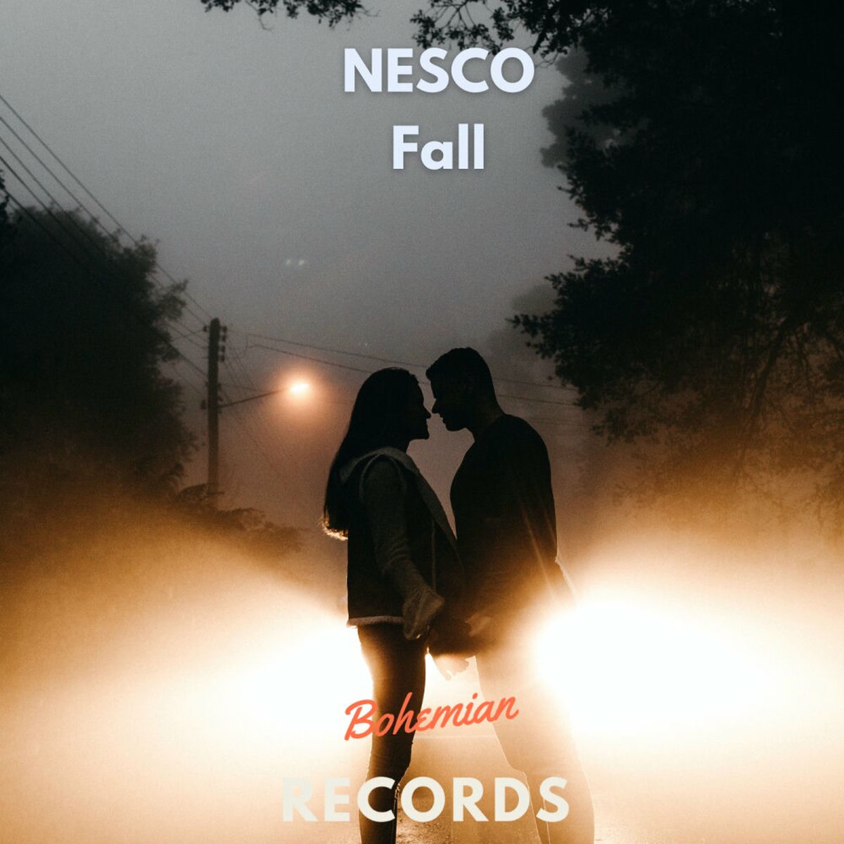 Album cover of Fall