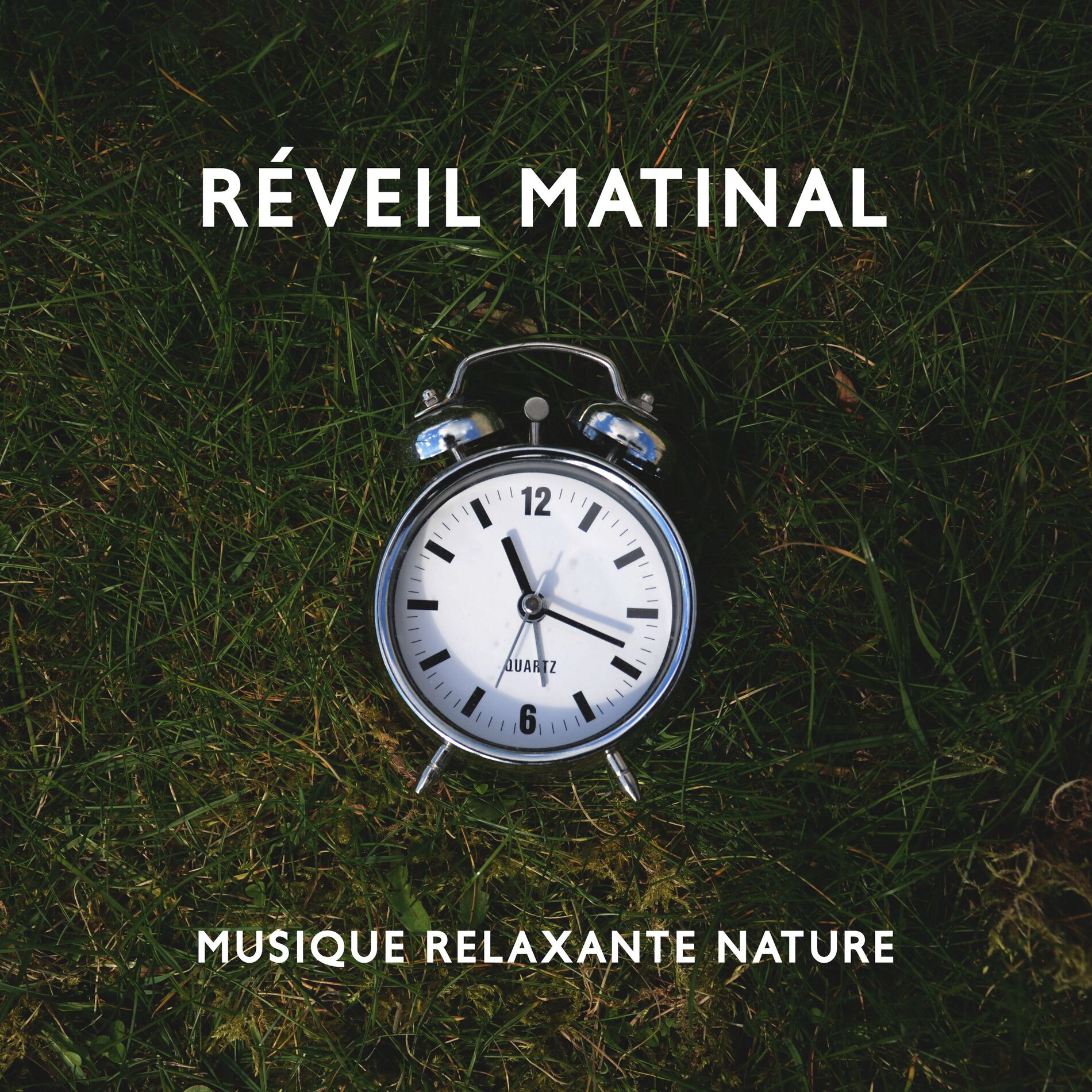 Album cover of Réveil matinal: Musique relaxante nature, Sons apaisants pour se réveiller