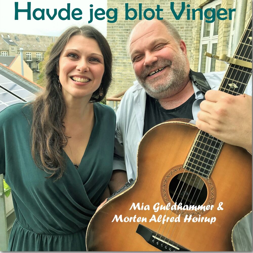 Picture of Havde jeg blot Vinger