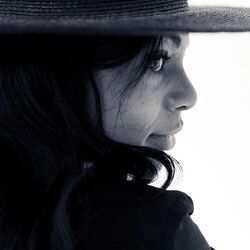 Cover of Hands High