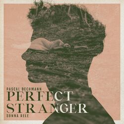 Cover of Perfect Stranger