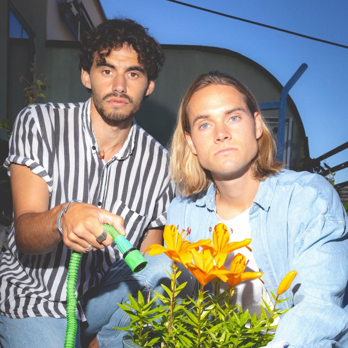Album cover of letgoes