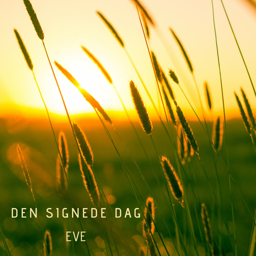 Picture of Den signede dag