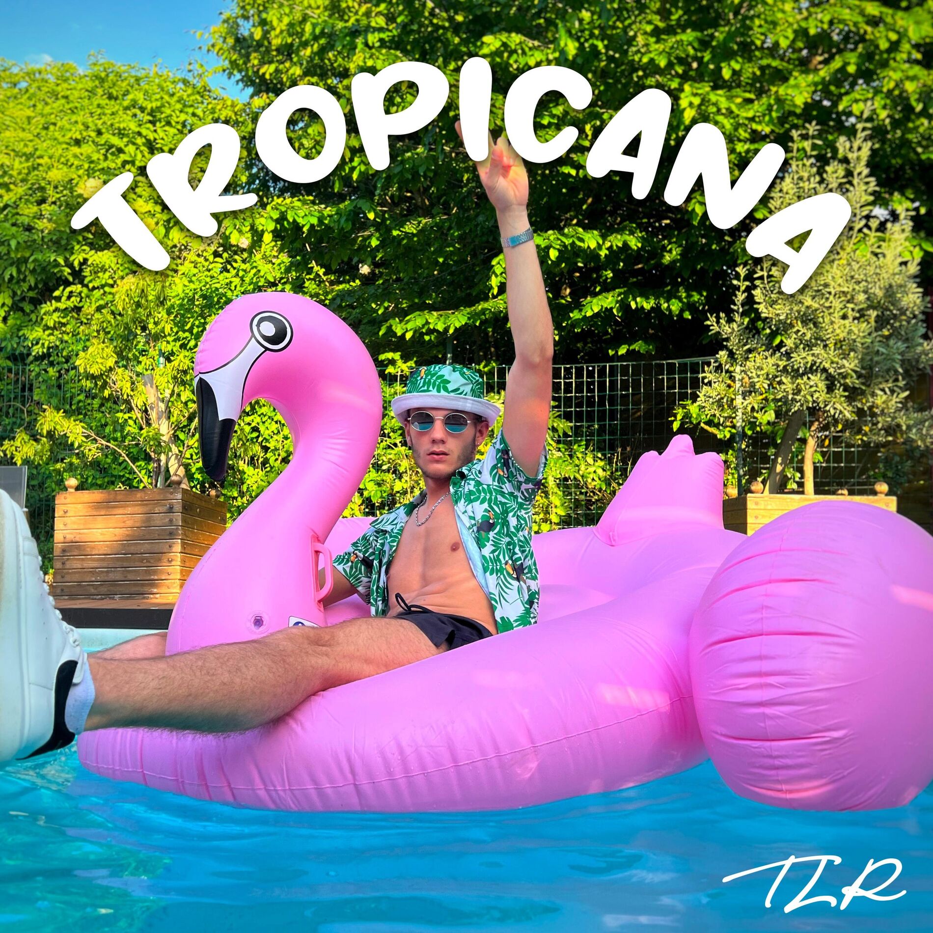 Album cover of Tropicana