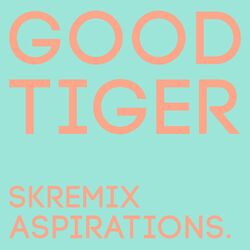 Cover of Aspirations (Skremix)