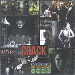 Cover of Crack Cloud