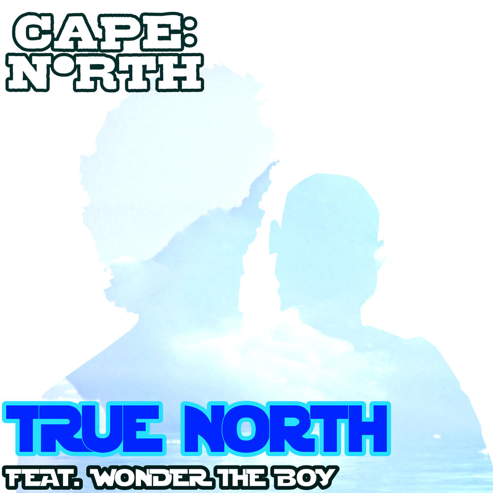 Picture of True North