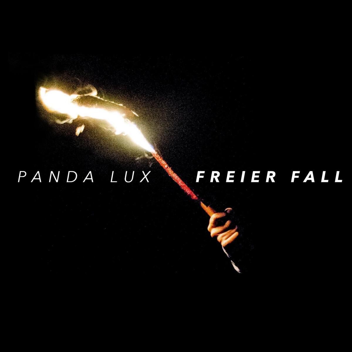 Album cover of Freier Fall