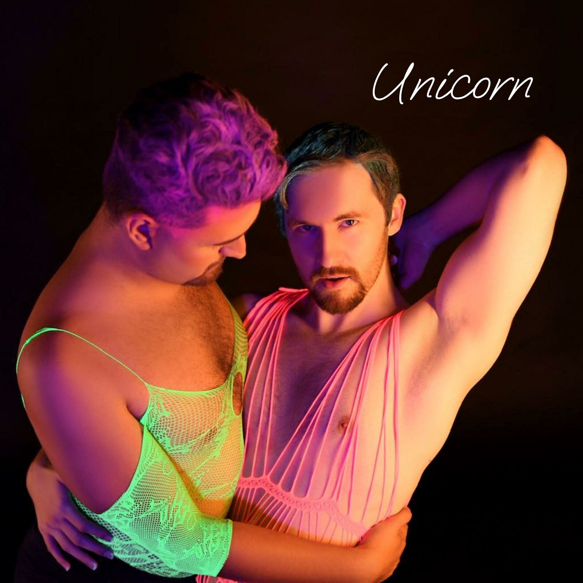 Album cover of Unicorn