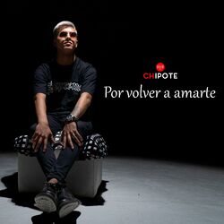 Cover of Por Volver a Amarte