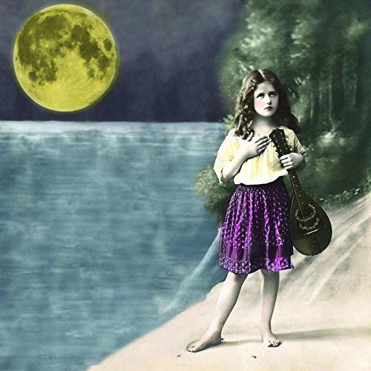 Album cover of The Big Black and the Blue