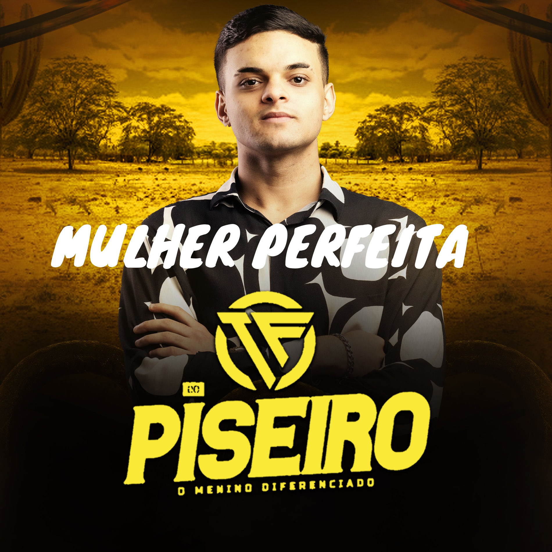 Album cover of Mulher Perfeita