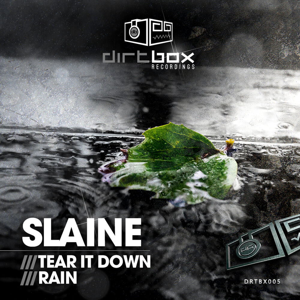 Picture of Tear It Down / Rain